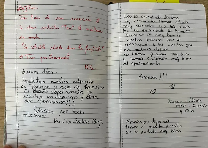 Apartament Le Felicita- T2 - Parking - Piscine Tuluza